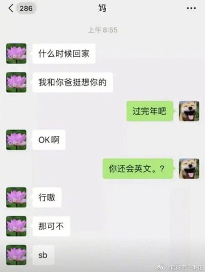 这是一张微信聊天记录截图，记录了用户与妈妈的对话。对话开头妈妈温情询问用户什么时候回家，表达和爸爸对用户的想念，用户回复过完年再回家，妈妈回复“OK啊”，用户惊讶于妈妈会说英文，随后妈妈接连回复“行嗷”“那可不”“sb”，这里的“sb”是长辈对网络用语的误使用，将英文缩写当成类似的回应语气词，制造出温情到搞笑的反差效果，展现了家庭沟通中有趣的日常瞬间。