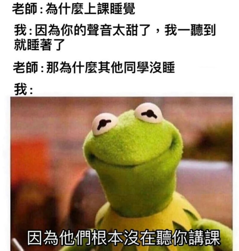 布偶秀