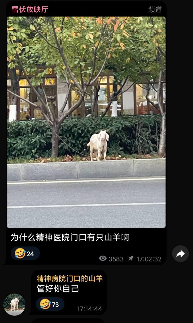 山羊