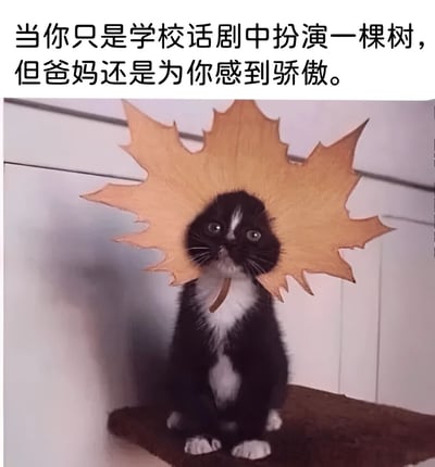 图片上方有文字“当你只是学校话剧中扮演一棵树，但爸妈还是为你感到骄傲。”，下方是一只黑白相间的小猫，它的头上戴着一个巨大的黄色枫叶形状的头饰，看起来像是在扮演一棵树。小猫睁着大大的眼睛，表情呆萌地抬头看向上方，整体画面可爱又有趣，用猫咪扮演树的可爱形象来幽默表现父母对孩子无论角色大小都感到骄傲的情感。