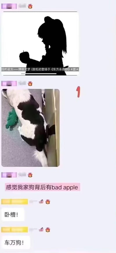 这是一段即时通讯软件的聊天记录截图，内容是东方Project爱好者的玩梗分享：
1. 用户首先发送了东方Project角色博丽灵梦在《Bad Apple!!》MV里的经典黑白剪影图，并标注角色信息；
2. 接着用户发送了自家黑白花狗狗的实拍图，狗狗背部的黑色色块和影子刚好与博丽灵梦的剪影高度重合，配文“感觉我家狗背后有bad apple”；
3. 聊天对象看到后发出“卧槽！”“车万狗！”的惊叹回复。

其中包含的梗点：
- 《Bad Apple!!》是东方Project的知名衍生曲目，其MV里的博丽灵梦剪影是圈内经典画面；
- “车万”是“东方Project”的谐音梗（东方的日语发音“とうほう”谐音“车万”），是圈内常用的代称。
