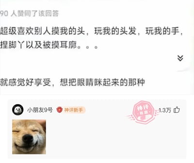 这是一张问答类社交平台的用户互动截图，上方的答主分享了自己十分享受被他人摸头、玩头发、玩手、捏脚丫、摸耳廓的感受，描述这种感觉让人想眯起眼睛，十分舒适。下方用户“小朋友9号”发布了一张眯着眼睛、表情满足享受的柴犬图片，精准呼应了答主描述的感受，这条评论获得了1.3万点赞，并被平台标注为“神评”，成为互动中的趣味亮点。