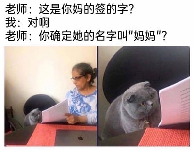 这是一张趣味十足的网络梗图，上方配有三段对话文字：老师询问“我”“这是你妈的签的字？”，“我”给出肯定答复“对啊”，老师随即质疑“你确定她的名字叫‘妈妈’？”；下方是左右拼接的两张图片，左侧画面中一位戴眼镜的中老年女士坐在桌前，手指指着文件专注查看，她身侧有一只蓝猫；右侧画面则通过后期处理移除了女士，只留下蓝猫在文件前的场景，利用视觉错位营造出蓝猫在“签字”的假象。整幅图结合文字与视觉效果，玩了谐音+视觉错位的搞笑梗，暗示是猫（喵）代替“妈妈”完成了签字，被老师发现破绽，充满诙谐感。