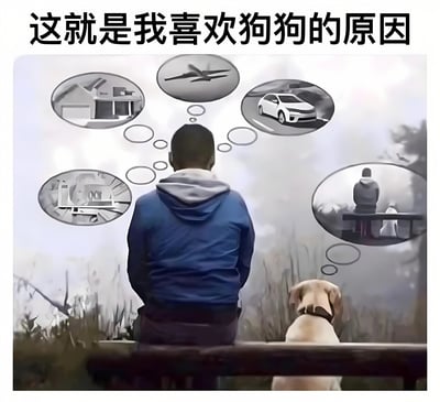 图片上方有黑色文字标题“这就是我喜欢狗狗的原因”。画面主体是一个穿着蓝色连帽衫的人背对着镜头坐在长椅上，身旁有一只浅色的狗。人物头部周围环绕着多个椭圆形思想泡泡，分别包含房子、飞机、汽车、室内场景以及一个人陪狗坐着的画面，通过对比人的复杂思绪与狗狗的简单陪伴，表达对狗狗纯粹情感的喜爱。