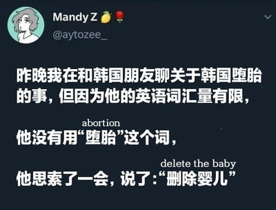 这是一张社交媒体截图，内容是用户Mandy Z分享的一则趣事：她昨晚和韩国朋友聊到韩国堕胎话题时，朋友因英语词汇量有限，不会用“abortion”（堕胎）一词，思索后说“delete the baby”（删除婴儿）。内容通过语言误解产生幽默效果，展现了跨文化交流中的有趣瞬间。