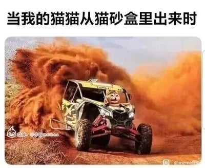 这是一张P图改编的搞笑宠物梗图，创作者将猫咪的脸部合成到一辆在沙漠中高速行驶、扬起漫天沙尘的越野车上的驾驶员位置，图片上方配有文字“当我的猫猫从猫砂盒里出来时”，用极具冲击力的越野赛车扬沙场景，夸张且幽默地比喻猫咪从猫砂盆出来时，总会带出大量猫砂、把周围弄得一片狼藉的养猫日常，精准戳中养猫人的共鸣点，充满趣味。