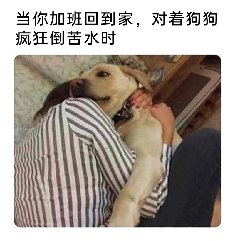 普通职场从业者