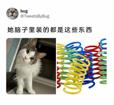 这是一张来自Twitter（现X）平台的趣味萌宠梗图，图中左上角是用户bug（账号@TweetsByBug）的头像与账号信息，下方配文“她脑子里装的都是这些东西”；左侧是一只长毛猫咪，歪着脑袋、睁着圆溜溜的大眼睛看向镜头，神态懵懂可爱；右侧是一堆红、黄、蓝、绿四色的塑料弹簧，这是深受猫咪喜爱的经典玩具。配文以拟人的方式调侃，结合猫咪呆萌的神态，表现出这只猫咪满脑子都是自己喜欢的弹簧玩具，充满了轻松搞笑的萌感，展现了宠物爱好者对自家猫咪的趣味调侃。