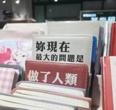 这张实拍图拍摄的是文具店陈列的多款笔记本，因前后摆放的位置错位形成了趣味的文字拼接效果：靠后的浅灰色笔记本封面印有繁体文字“妳現在最大的問題是”，摆放在它前方的红棕色笔记本封面印有繁体文字“做了人類”，二者刚好拼接成一句充满吐槽感的文案“你现在最大的问题是做了人类”，画面周边还能看到其他带花纹、不同颜色的笔记本，背景是模糊的店铺室内环境，整体是意外形成的搞笑网络梗图。