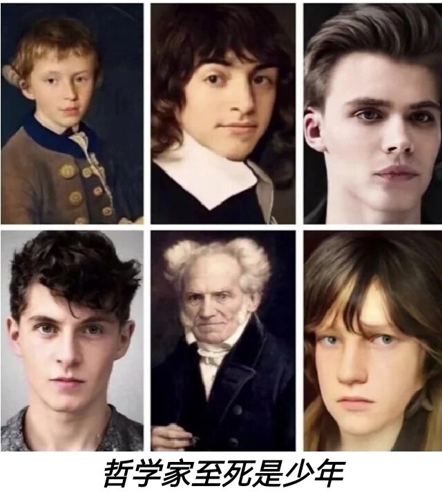 《作为意志和表象的世界》