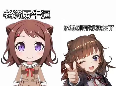 图片分为左右两部分，左侧是一个棕色头发、紫色眼睛、戴着猫耳的动漫女孩，穿着棕色校服，面带微笑，上方配有文字'老资历牛逼'。右侧是同一个角色的另一种形象，棕色头发、紫色眼睛、戴着猫耳，穿着深色校服， wink表情并伸出手指向前方，上方配有文字'这群刚开我就在了'。整体风格为二次元动漫风格，通过两个相似角色的不同姿态和文字内容，表达了作为群聊老成员的自豪感和资历优势。