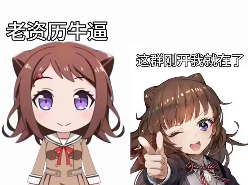 老资历