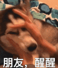 哈士奇被叫醒动态表情包