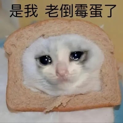图片主体为一片切开的棕色面包，中间被挖空成圆形，内嵌一张猫咪的脸部特写。猫咪有着圆溜溜的大眼睛，眼神无辜又略带无助地直视前方，脸颊毛发雪白。面包上方有一行黑色加粗文字：“是我 老倒霉蛋了”。整体通过可爱的猫咪形象与自嘲的文字结合，以幽默方式表达“自己总是很倒霉”的情绪，画面生动有趣，充满反差萌。