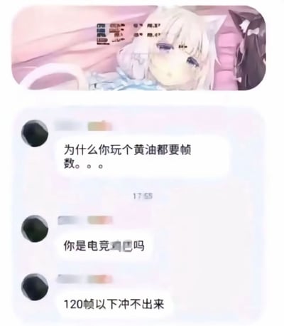 图片上方是一个忧郁表情的白发猫耳动漫女孩侧躺凝视的画面，下方是三段聊天记录截图。对话内容为："为什么你玩个黄油都要帧数。。。"、"你是电竞选手吗"、"120帧以下冲不出来"，通过夸张对比游戏玩家对帧数的极致追求与休闲游戏场景，形成幽默效果。