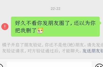 聊天界面截图，显示时间22:22。绿色消息气泡中写着“好久不看你发朋友圈了，还以为你把我删了😼”，附带一个眯眼笑的猫 emoji，下方灰色系统提示“橘子开启了朋友验证，你还不是他(她)朋友。请先发送朋友验证请求，对方验证通过后，才能聊天。发送朋友验证”。形成“担心被删结果真被删”的幽默反转场景，充满生活中的小尴尬与趣味。