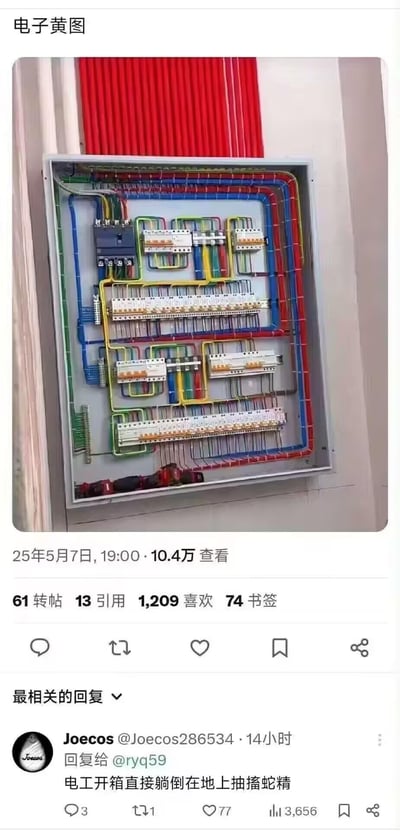 这是一张海外社交平台的截图，主图展示了一个内部布线被整理得极度规整、色彩分明的配电箱，所有线路都被刻意弯折成标准直角，排布得如同艺术品；配文“电子黄图”玩了谐音梗，将这种极致工整的电工布线调侃成“电子界的黄图”，极具反差感。下方的热门评论“电工开箱直接躺倒在地上抽搐蛇精”同样玩了谐音梗，“蛇精”是“射精”的谐音，用夸张的生理反应表述，调侃这种过度规整的布线会让专业电工感到震惊崩溃，充满搞笑效果。