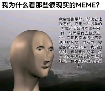这是一张顶配底文式的静态图文混排Meme图，顶部以提问式标题“我为什么看那些很现实的MEME？”引出内容，左侧是网络经典的面无表情的3D抽象人偶，人偶背景为模糊的灰暗户外景象，右侧搭配一段细腻的内心感悟文字。文字阐述了观看现实向Meme时的心境：这类内容即便带着悲伤，却能以温柔的方式让自己暂时抽离网络，进入臆想中的自然场景，在孤独的状态里获得平静，不用像在现实中那样，因为孤独而被他人影响情绪。这张图精准捕捉了当代人在现实中承受孤独压力，却能从特定的网络内容中找到情绪出口与慰藉的状态，容易引发同类情绪人群的共鸣。