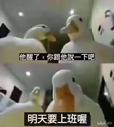 两只白色鸭子玩偶在室内场景中对话的搞笑梗图。一只鸭子说"他醒了，你跟他說一下吧"，另一只鸭子回应"明天要上班喔"，用拟人化的方式幽默表现打工人面对工作日的无奈情绪。