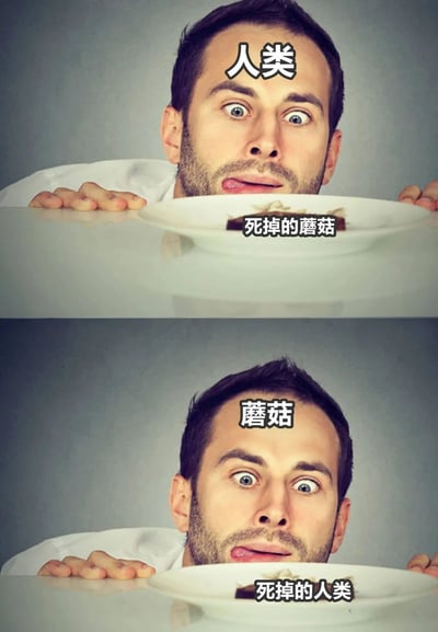 这是一张双面板的角色互换梗图。第一面板中，一个人（标注为‘人类’）睁大眼睛惊讶地看着盘子里的‘死掉的蘑菇’；第二面板则将角色互换，标注为‘蘑菇’的视角看着盘子里的‘死掉的人类’。通过这种反转，制造出幽默的效果，讽刺或调侃了人类与自然生物之间的关系。
