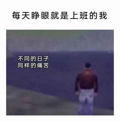 这是一张聚焦职场倦怠情绪的表情包，顶部文字“每天睁眼就是上班的我”直接点出打工人的日常状态，下方画面是一个背对镜头、站在灰暗水边的人物，搭配文字“不同的日子 同样的痛苦”，生动传递出打工人日复一日被工作裹挟，重复体验疲惫与痛苦的低落心境，灰暗的画面色调进一步强化了这种倦怠、压抑的氛围，精准戳中当代职场人的情绪痛点。