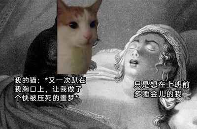 这是一张结合古典插画与现代表情包的搞笑合成梗图，画面以一幅黑白古典插画为底，右侧闭着眼、表情痛苦仿佛窒息的人物代表了想在上班前多睡一会儿的主人；左侧的猫咪被替换成了有着呆滞眼神的网红猫咪形象。配文分别对应两者：猫咪的配文是“*又一次趴在我胸口上，让我做了个快被压死的噩梦*”，主人的配文是“只是想在上班前多睡会儿的我”。图中用夸张的古典画风放大了养猫人想补觉却被猫压得喘不过气的无奈，同时结合职场人早起上班缺觉的痛点，营造出真实又搞笑的氛围，精准戳中养猫上班族的日常体验。