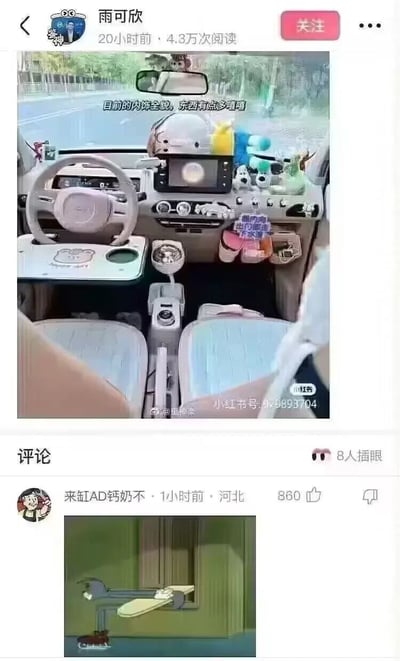 这是一张社交媒体帖子截图，上方是用户雨可欣发布的动态，内容为其装饰后的汽车内饰照片，车内摆放了大量可爱玩偶、小摆件等装饰，配文称“目前的内饰全貌，东西有点多嘻嘻”，照片带有小红书相关水印。下方为评论区，用户“来缸AD钙奶不”发布了一张《海绵宝宝》中歪脸鱼开车的动画截图作为评论，暗喻该车内饰装饰过多遮挡驾驶视线，驾驶员需要歪着脸才能看清路，该评论获得860点赞，另有8人标记插眼关注该动态。