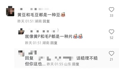 这是一张社交媒体评论截图，展示了三条来自同一用户的评论。第一条评论说“黄豆和毛豆都是一种豆”并配有一个戴眼镜的桃子表情，第二条评论接着类比“就像黄P和毛P都是一种片”并配有两个哭泣表情，第三条评论是对前两条的回复“话糙理不糙 但你这也...”。每条评论都显示了发布时间（昨天01:51和01:55）、来自地区（湖南和山东）以及点赞数（33、52和21）。用户头像被像素化处理。