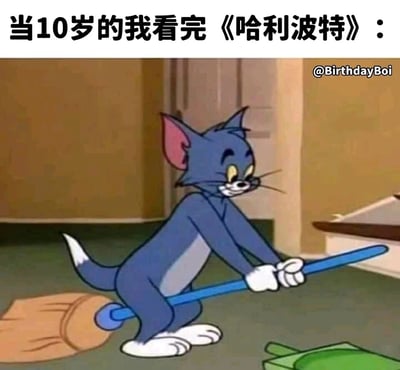 这是一张结合经典动画与热门IP的趣味梗图，图片上方配有文字“当10岁的我看完《哈利波特》：”，主体画面是《猫和老鼠》里的汤姆猫，它双手握住扫帚杆，跨坐在扫帚上，脸上带着兴奋的笑意，模仿《哈利波特》中巫师骑飞天扫帚的经典动作。这张图精准捕捉到10岁孩子在看完《哈利波特》后，对魔法世界充满向往，忍不住模仿巫师行为的童真状态，用大众熟知的动画角色行为引发有过类似童年经历人群的共鸣，充满怀旧感与趣味性。