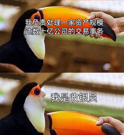 这是一张通过P图制造反差效果的职场幽默梗图，采用上下对比的构图。上图展示一只巨嘴鸟的大嘴被人手握住，搭配文字“我负责处理一家资产规模达数十亿公司的交易事务”，营造出一种从事高端金融交易工作的错觉；下图中巨嘴鸟的嘴被移开，露出了人的脸部，搭配文字“我是收银员”，揭示真实身份，以此调侃收银员日常处理大量交易，工作内容听起来像是高端商务事务，但实际是普通的收银工作，通过强烈的反差感制造幽默效果，引发职场人士的共鸣。