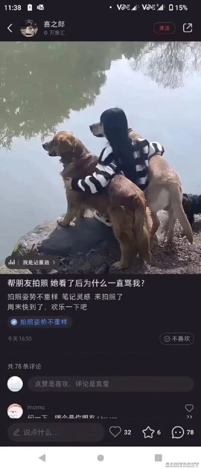 这是一张竖屏的抖音类短视频社交平台截图，发布者为用户“喜之郎”，发布时间为当天16:50。截图的核心内容是一张视觉错位的实拍照片：一位穿着黑白条纹上衣的女生坐在水边的石头上，双臂环抱着两只金毛犬，由于拍摄角度的巧合，女生的身体被两只狗狗完全遮挡，从画面上看仿佛女生的头部直接长在金毛犬的身体上，形成了极具搞笑效果的视觉错觉。发布者配文“帮朋友拍照 她看了后为什么一直骂我？”，还附带了“拍照姿势不重样 笔记灵感 来拍照了 周末快到了，欢乐一下吧”的补充文字，标签为“拍照姿势不重样”。评论区共有78条评论，其中用户“momo”的评论“问一下 哪个是你朋友”获得了23个点赞，精准戳中了这张错位图的搞笑点，引发互动。整体内容是利用视觉错位制造趣味，属于日常搞笑的生活分享类内容，在社交平台上用来传递欢乐，吸引用户评论互动。