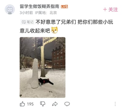这是B站用户发布的一条玩梗笔记，配文“不好意思了兄弟们 把你们那些小玩意儿收起来吧”并配上一张雪夜户外实拍图：雪地里堆出一个造型极具恶搞性、尺度夸张的雪人，旁边有个人趴在雪地上，仿佛在展示这个“大作”，用调侃的语气宣告这个雪人是雪雕整活的“天花板”，碾压其他普通雪雕，充满玩梗的搞笑氛围。
图中没有双关、谐音梗等额外内容，纯靠夸张的雪人造型制造笑点。