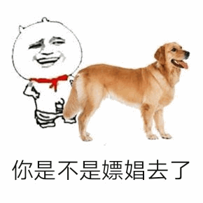 卡通人物质问金毛犬梗图