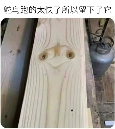 图片展示了一块浅色木板的特写，其天然纹理和结疤形成了酷似鸵鸟脸的图案——两个圆形结疤如同眼睛，下方弯曲的木纹则像鸵鸟的喙。图片顶部配有文字“鸵鸟跑的太快了所以留下了它”，以幽默的方式将木板纹理与“奔跑中留下的鸵鸟脸”联系起来，属于利用自然纹理巧合创作的搞笑内容。