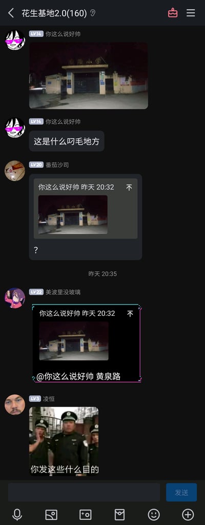 这是一张QQ群聊的截图，群名为“花生基地2.0(160)”。群成员“你这么说好帅”发布了一张夜晚的后路小学校门照片，并询问“这是什么叼毛地方”；成员“番茄沙司”引用该照片发出疑惑的问号；成员“美波里没玻璃”利用“后路”与“黄泉路”的谐音玩梗，回复“@你这么说好帅 黄泉路”；最后成员“凌恒”发出一张配文“你发这些什么目的”的保安表情包，延续群内的趣味调侃。整个对话围绕后路小学的照片展开，通过谐音梗和表情包制造笑点，属于群友间的轻松趣味闲聊。