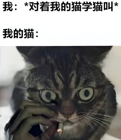 这张梗图分为上下两部分。上半部分是文字内容："我：*对着我的猫学猫叫*"和"我的猫："。下半部分是一张经过编辑的猫咪照片，照片中的虎斑猫瞪大双眼，表情震惊，一只爪子夹着一根香烟，仿佛对主人模仿猫叫的行为感到十分无语和震惊。通过猫咪人性化的表情和动作，幽默地表现了宠物对主人行为的内心OS。