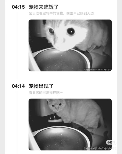 这是一组由PETKIT宠物监控设备拍摄的黑白夜视画面，记录了凌晨4点左右橘猫的搞笑日常：04:14猫咪出现在空的食盆旁，04:15猫咪凑到空食盆前做出进食动作，配文调侃“宝贝吃着空气中的食物，味蕾早已嗨到天边”，明明食盆空空如也，猫咪却认真“干饭”，充满反差萌的搞笑感。