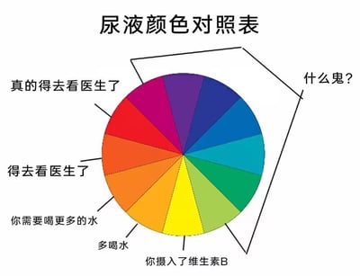 这是一张恶搞风格的尿液颜色对照表，以彩虹色轮盘的形式呈现不同颜色对应的健康提示：黄色区域标注“你摄入了维生素B”，浅橙色到深橙色区域依次是“多喝水”“你需要喝更多的水”，红橙色到紫色区域为“得去看医生了”“真的得去看医生了”，而蓝绿等现实中不会出现的尿液颜色区域则被标注为“什么鬼？”。图中通过夸张、不符合医学常识的颜色分类，将严肃的健康提示趣味化，制造出荒诞搞笑的效果，调侃了尿液颜色与健康状态的关联。