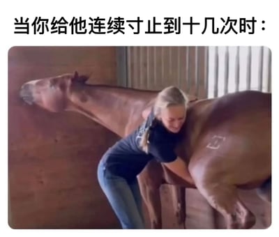 图片上方有文字“当你给他连续寸止到十几次时：”，下方是一张照片，内容为一位金发女子在马厩中拥抱一匹棕色的马。女子面带微笑，身体向后倾斜，双臂环绕在马的脖子上，马则平静地站立着。图片通过将马被多次拥抱后的平静反应与人在类似情境下的可能反应进行类比，制造幽默效果。