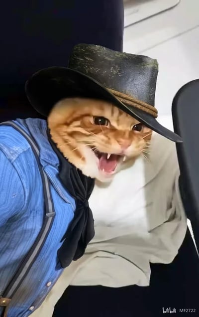 这是一张趣味二次合成图，将网络上的暴躁橘猫表情包头部，与游戏《荒野大镖客：救赎2》主角亚瑟·摩根的牛仔身体（蓝色条纹衬衫、黑色领巾、复古牛仔帽）拼接在一起。橘猫张嘴露齿、表情愤怒暴躁，和硬朗的牛仔造型形成强烈反差，营造出搞笑荒诞的效果。
无双关、谐音梗或暗示内容。