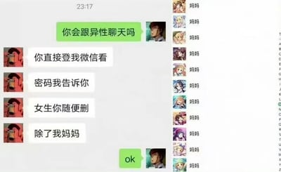 这是一张模拟微信聊天界面的搞笑梗图。左侧绿色气泡消息发起提问：“你会跟异性聊天吗”，右侧白色气泡（配动漫男生头像）自信回复：“你直接登我微信看”“密码我告诉你”“女生你随便删”，最后补充“除了我妈妈”。左侧回复“ok”。右侧联系人列表显示多个名称为“妈妈”的联系人，且每个“妈妈”都配有不同的动漫女生头像，形成幽默反差——表面说没异性聊天，实则可能将女性联系人都备注为“妈妈”来掩饰。