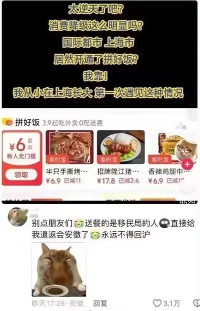 这张梗图分为三个部分：上方是吐槽文字，内容为网友惊讶于上海作为国际都市开通了低价外卖平台拼好饭，感慨消费降级；中间是拼好饭的外卖界面截图，显示3.9元起、0配送费、6元新人无门槛券，还有多款低价减餐后的外卖菜品；下方是一条搞笑评论，评论者用Doge头像，配文调侃“点拼好饭会被移民局遣返回安徽，永远不得回沪”，还搭配了捂脸猫咪表情包，这条评论获得3.1万赞，定位显示为安徽。整个内容用夸张、幽默的方式调侃当下的消费降级现象，没有实际的遣返行为，纯为网友的搞笑创作，通过上海的“国际都市”定位与低价外卖的反差制造笑点。