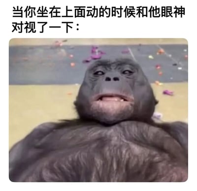 图片上方配有文字："当你坐在上面动的时候和他眼神对视了一下："，下方是一只大猩猩幼崽仰视的特写镜头。大猩猩表情看起来有些惊讶和困惑，背景地面上散落着彩色纸屑。整体营造出一种尴尬又搞笑的氛围，通过动物的表情来夸张表现人类遇到尴尬对视时的反应。