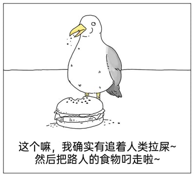 暂无描述