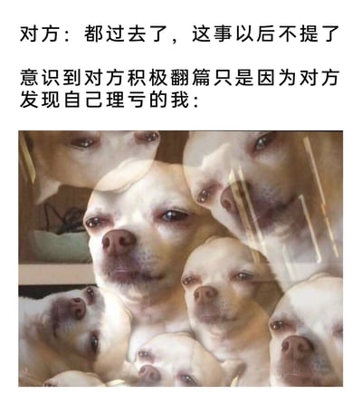 这是一张贴合日常人际场景的中文网络梗图，整体采用图文混排的形式。上方文字分为两部分：第一部分是对话内容，对方提出要将某件事翻篇、不再提及；第二部分点明“我”看穿了对方的真实心态——对方是因为自己理亏才急于翻篇逃避问题。下方配图是经过镜像重复处理的吉娃娃脸部照片，狗狗眼神幽怨又带着审视感，重复环绕的视觉效果放大了“我”内心的不满、不忿与对对方的质疑情绪，精准还原了在与人产生矛盾时，发现对方理亏却想逃避责任的瞬间，很容易引发网友在日常人际交往、职场纠纷等场景下的共鸣。