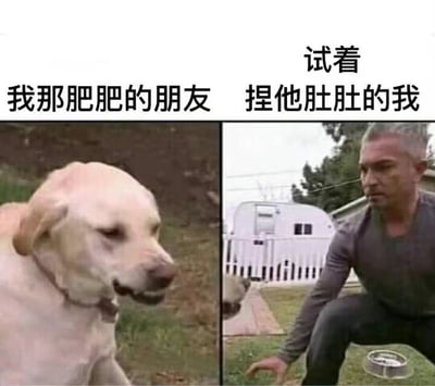 这是一张左右对比的搞笑梗图。左侧画面是一只体型圆润的浅黄色狗狗，配文“我那肥肥的朋友”，形象地用肥狗比喻胖乎乎的朋友；右侧画面是一位灰发男子蹲在草地上，表情严肃地注视着前方，配文“试着捏他肚肚的我”，通过男子认真的神态反差，幽默展现想捏朋友肚子时的小心翼翼。整体通过动物与人的表情动作对比，营造出轻松诙谐的氛围，调侃朋友间捏肚子的趣味互动。