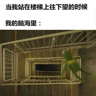 图片上半部分为黑色文字“当我站在楼梯上往下望的时候 我的脑海里：”，下半部分是一张实拍的螺旋楼梯向下视角照片。楼梯扶手为白色，台阶和墙壁呈灰黑色，形成明显的空间纵深感，底部较暗。画面右侧有一个绿色物体（可能是玩具或昆虫）部分入镜，增添了一丝突兀感，整体营造出一种站在高处向下望时脑海中浮现的既真实又略带奇幻的场景。