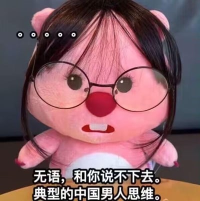 这是一张对韩国动画角色Loopy（小海狸）进行P图改编的表情包，给原本粉色软萌的Loopy加上了黑框眼镜和齐刘海假发，角色眉头微蹙，嘴巴张开露出牙齿，面部神态呈现出无语、烦躁的情绪。图的下方配有文字：“无语，和你说不下去。典型的中国男人思维。”，用可爱的卡通形象来表达对特定思维方式的不满与不想继续沟通的无奈，图中没有双关、谐音梗或暗示内容。