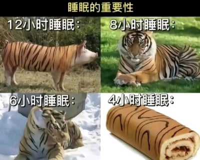 这是一张由四格图像拼接而成的搞笑梗图，核心主题为“睡眠的重要性”，通过夸张的图像变化调侃不同睡眠时长下的状态差异：
1. 第一格标注“12小时睡眠”，展示了被P上老虎纹路的猪，用“睡太久变得慵懒像猪”的调侃，暗示过度睡眠也会导致状态不佳；
2. 第二格标注“8小时睡眠”，是一只神态严肃、趴卧在草地上的正常老虎，代表睡眠充足时人会像老虎一样精神饱满、充满活力；
3. 第三格标注“6小时睡眠”，是老虎头部与北极熊身体拼接的合成动物，形象地表现出睡眠不足时，人的状态开始出现错乱、疲惫不堪；
4. 第四格标注“4小时睡眠”，是带有老虎纹路的蛋糕卷，利用“虎”与“糊”的谐音梗，调侃严重睡眠不足时，人已经像被“榨干”成食物，状态糟糕到极致。
整张图通过图像合成、谐音梗等创意手法，用幽默夸张的方式强调睡眠时长对精神状态的影响，容易引发职场加班族、熬夜人群的共鸣。