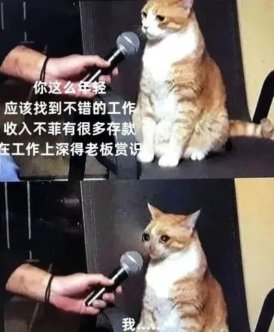 图片为上下两格拼接的图文混排梗图。上半部分显示一只橘白相间的猫坐在椅子上，一只手拿着麦克风对着它，旁边配有文字：“你这么年轻应该找到不错的工作收入不菲有很多存款在工作上深得老板赏识”。下半部分同样是这只猫，但眼神向下，表情显得有些语塞，配文：“我....”。图片通过猫咪被追问工作和收入时的无奈反应，幽默地反映了年轻人面对社会对职业成就高期望时的压力与尴尬。